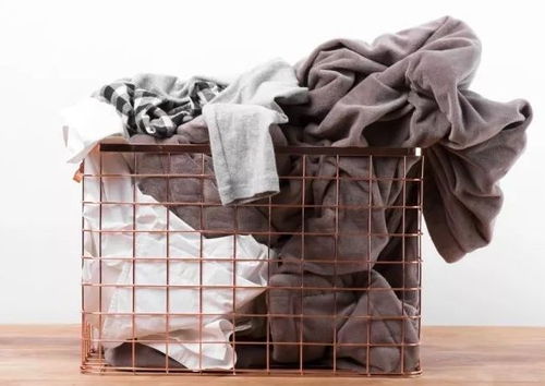 冬日暖意守护者 可水洗的德国老牌电热毯，一毯在手温暖无忧